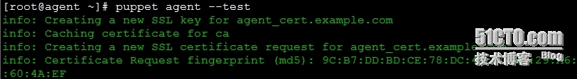 puppet中master和agent之间实现通信_master_04