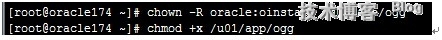 oracle GoldenGate实战安装_ogg_04