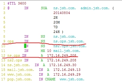 Linux之DNS正向反向解析以及主从复制、子域授权、转发和view功能_主从复制_25