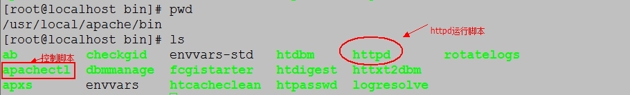 httpd编译安装与配置_服务器_02