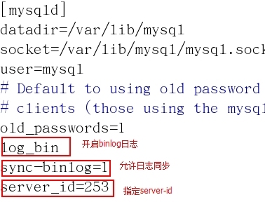 搭建Mysql主从同步服务_服务器_02