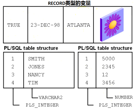 5.PL_SQL——变量的种类以及如何声明变量（autoprint, %TYPE）_PL/SQL