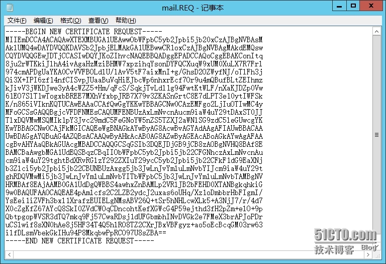 Exchange 2013 SP1部署系列12：多域名证书的申请_NLB _12