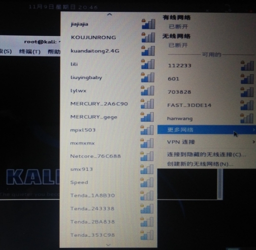 Kali Linux（一）将Kali安装到移动硬盘或U盘上_U盘_22