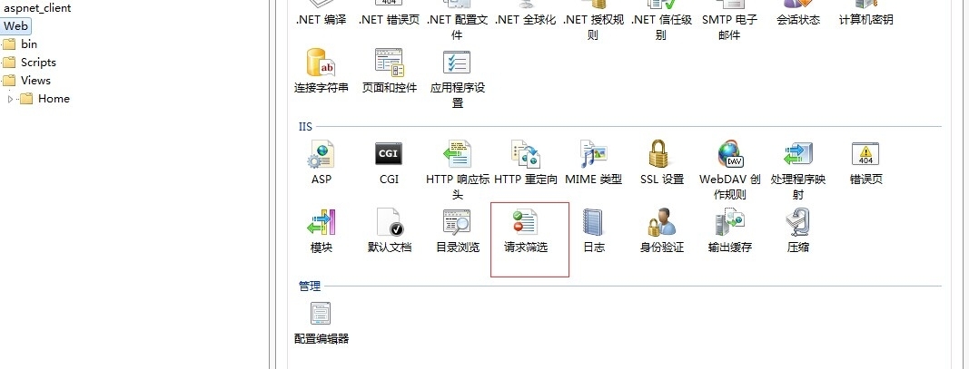 iis安全优化（禁止从外部通过站点域名下文件的绝对路径游览文件内容）_iis_02