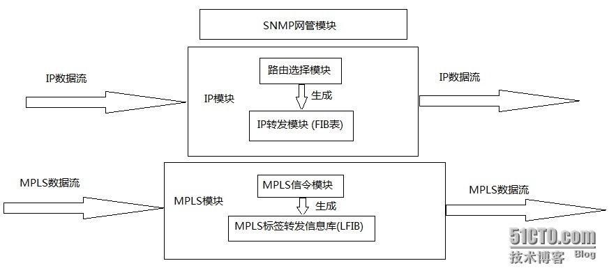 MPLS数据转发流程_动态