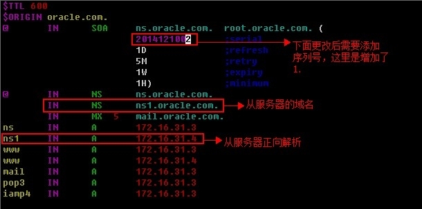 CentOS6服务管理之DNS-主从DNS服务器的搭建_辅助DNS