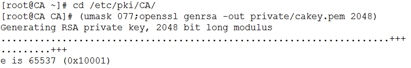 linux笔记之安全通行、openssl自建CA_加密_04