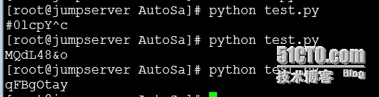 python 生成随机密码_python