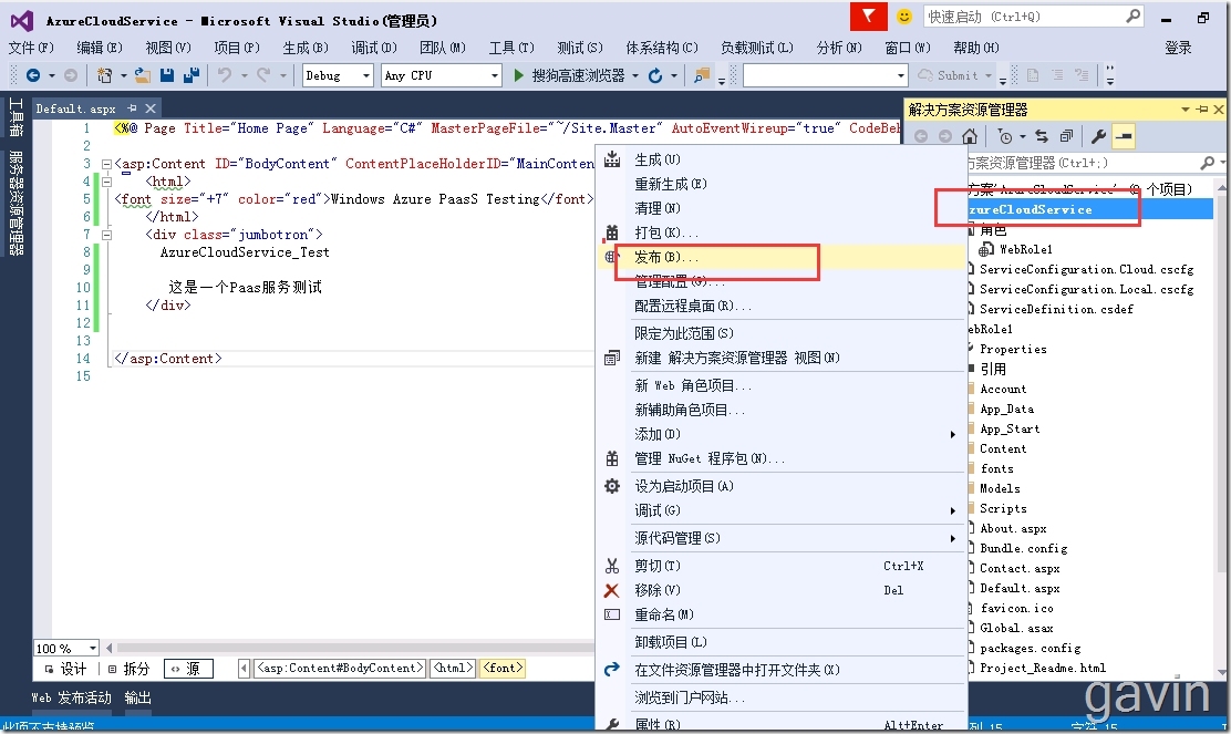 Visual Studio2015发布web站点到windows azure Cloud Service（PAAS）_visual studio2010_13