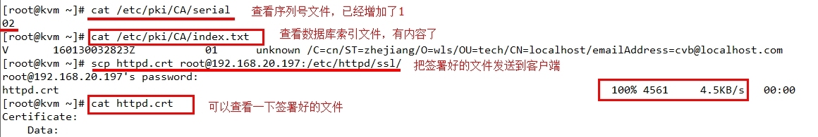 openssl建立私有CA的过程_私有CA_07