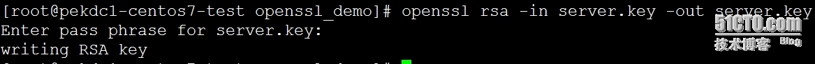 Nginx + openssl  搭建https服务_输入密码_02