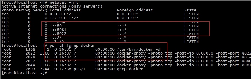 Docker构建Nginx+Tomcat动静分离架构_互联网_05