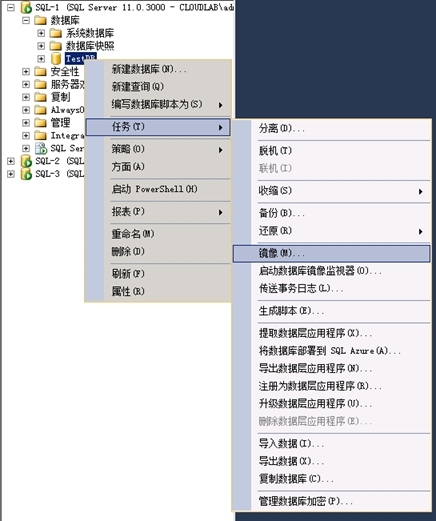 SQL Mirror配置手册_SQL Server_30