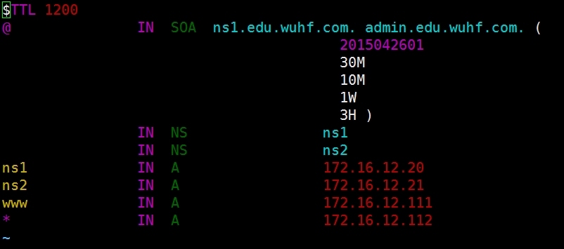 linux虚拟机玩转DNS_DNS_20