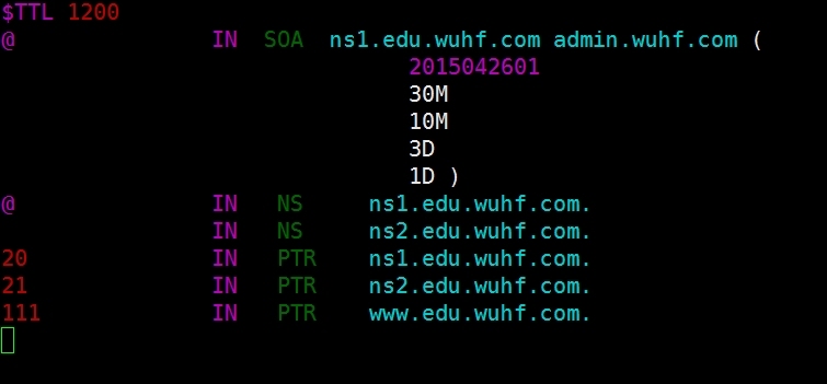 linux虚拟机玩转DNS_linux_21