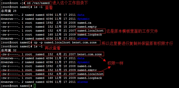 Linux系统上的DNS中正反向解析与主从服务器配置详解_Linux上的DNS域名解析服务_05