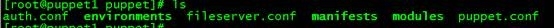 puppet介绍及基于httpd实例部署_puppe介绍及基于httpd实例部署_03