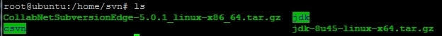 Ubuntu 安装 CollabNet Subversion Edge 5.0    (SVN)_服务器_13