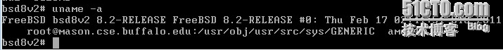 FreeBSD磁盘挂载_分区