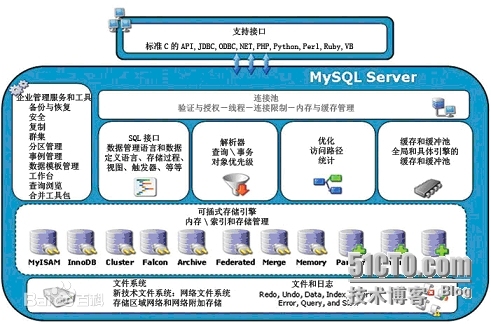 MySQL（一）之通用二进制格式安装MySQL及数据库基本概念_mysql、MySQL、安装mysql