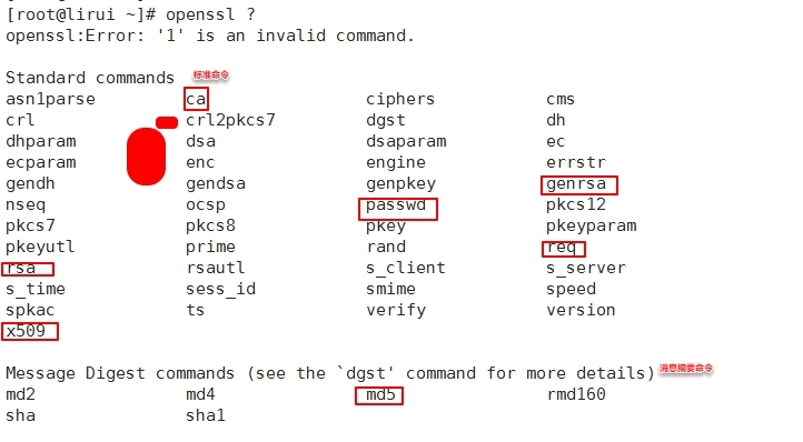 加密解密基础、PKI及SSL、创建私有CA_数据安全_11