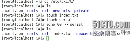 openssl工具的使用以及创建私有CA_openssl_05