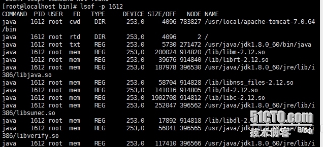 lsof__强大的系统监控、诊断命令_lsof  磁盘满  df  du_04