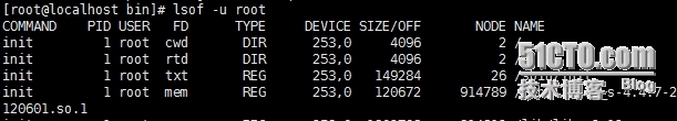 lsof__强大的系统监控、诊断命令_lsof  磁盘满  df  du_05