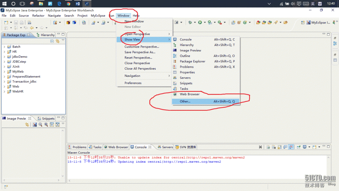 myEclipse+svn _计算机 离线  Myeclispse s_04