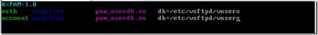 vsftpd的应用（匿名和认证，不同用户不同的目录）_认证_35