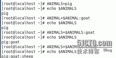 bash编程之变量、变量类型_bash编程_14