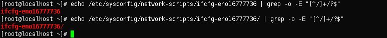 sed、grep_grep_02