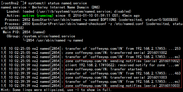 Linux中DNS配置和应用_正向解析 反向解析 子域授权 _51