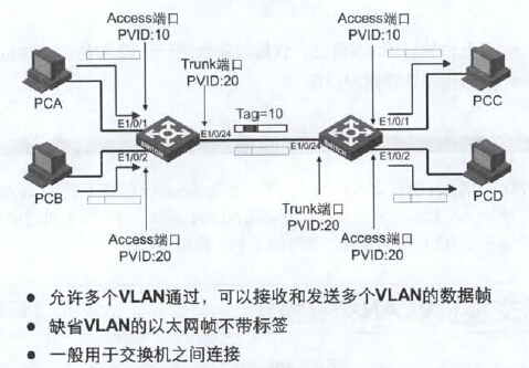 第十二章 配置VLAN_Network_14