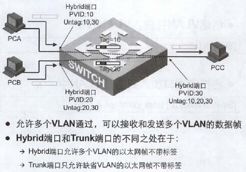 第十二章 配置VLAN_局域网_15