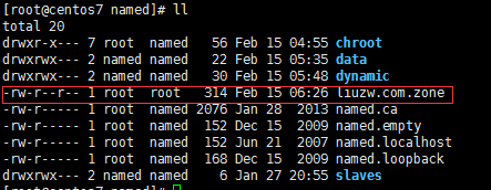 DNS配置，主从，子域，转发_DNS_10