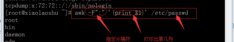 Linux正则表达式与三剑客_表达式_19