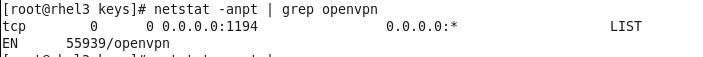 在Linux平台上部署openvpn_证书认证_26