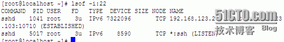 linux命令之lsof_lsof_14