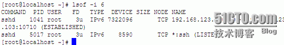 linux命令之lsof_lsof_21