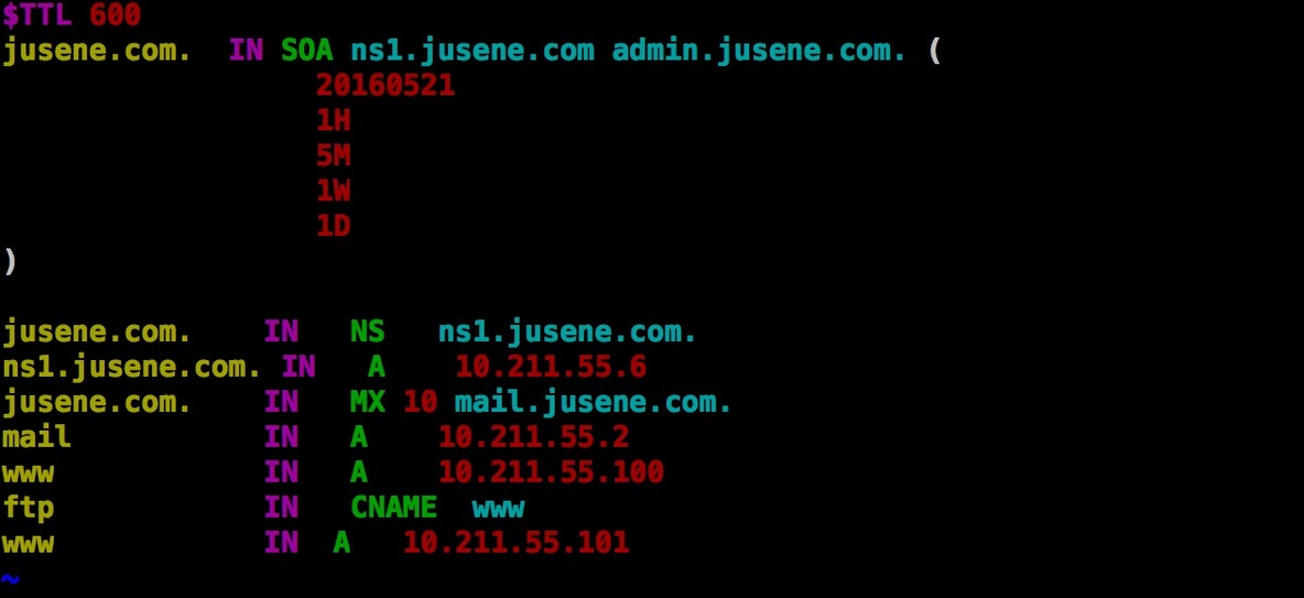 DNS（BIND） 正向解析   反向解析  基本服务的搭建_配置文件_02