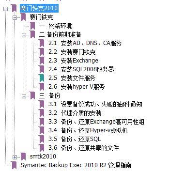 赛门铁克  Symantec Backup Exec 2010_赛门