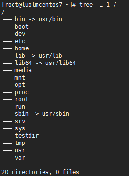 Linux文件系统与目录配置_文件系统_02