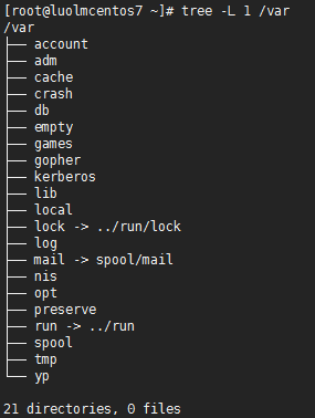 Linux文件系统与目录配置_文件系统_04