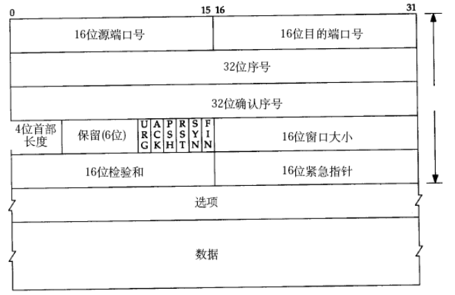 Linux系统开发10  Socket API编程1  大端小端 TCP模型 _Linux系统开发10  Socket _06