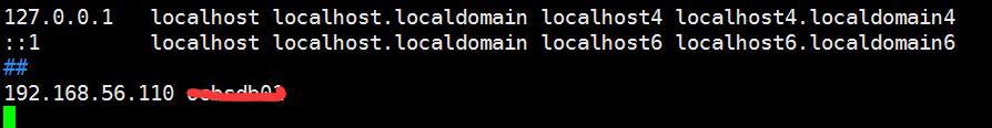 Linux 环境下安装Oracle 11.2.0.4.0 详细步骤_oracle_02