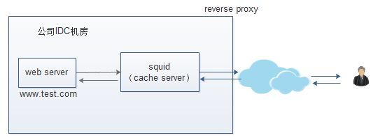 III 18 squid_squid