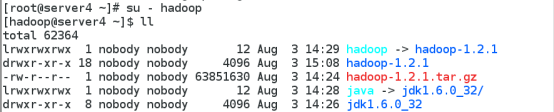 hadoop的基本搭建_大数据_13
