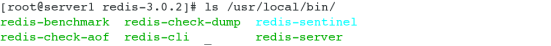 redisd的基本搭建_redis_02